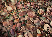 tkf001_134606