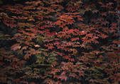 tkf001_135060