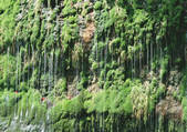 tkf001_139050