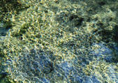 tkf001_139109
