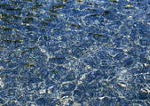 tkf001_139127