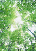tkf001_139973