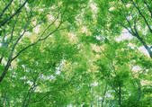 tkf001_140023