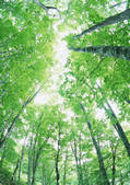 tkf001_140033