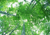 tkf001_140034
