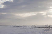 tkf001_156363