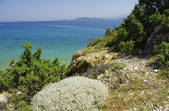 tkf001_178996