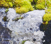 tkf001_179290