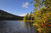tkf001_180782