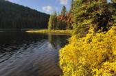 tkf001_180783