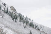 tkf001_193621