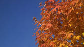 tkf001_202122
