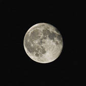 tkf001_205516