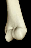 tkf001_222351