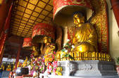 tkf001_303080