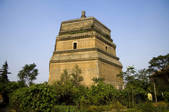 tkf001_303286