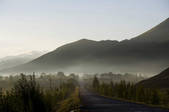 tkf001_303420
