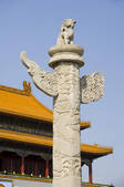 tkf001_303521