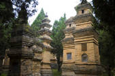 tkf001_303714