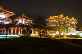 tkf001_304931