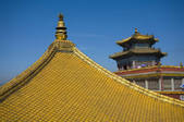tkf001_305095