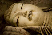 tkf001_306244