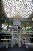 tkf001_309786