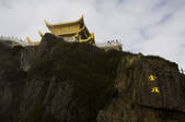 tkf001_311003