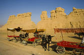 tkf001_311315