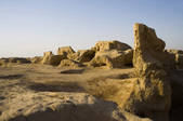 tkf001_312231