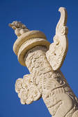 tkf001_312569