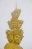 tkf001_312790