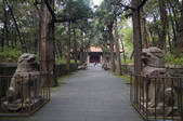 tkf001_313905