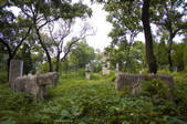 tkf001_314212
