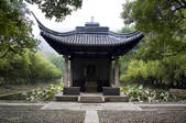 tkf001_314685
