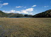 tkf001_336897