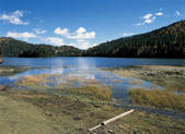 tkf001_337045