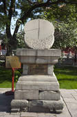 tkf001_337818