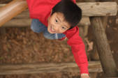 tkf001_344156