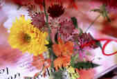 tkf001_392807
