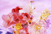 tkf001_392808