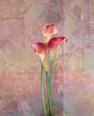 tkf001_392988