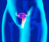 tkf001_402985