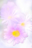 tkf001_409305