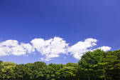 tkf001_753928