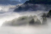tkf001_754830