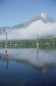 tkf001_755799