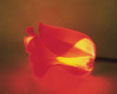tkf001_763802