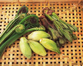 tkf001_765906