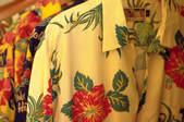 tkf001_769080